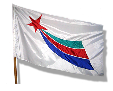 Флаг гимназии